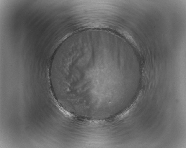 X0000075810881200609291342