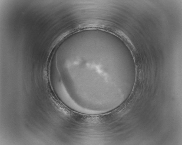 X0000075810882200609291342