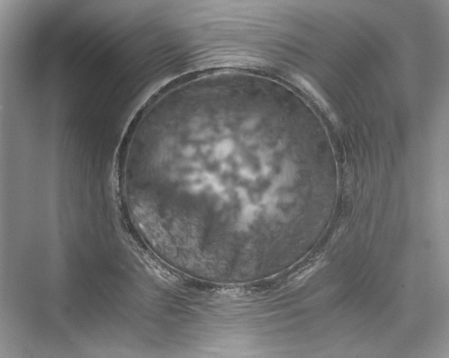 X0000075810883200609291342