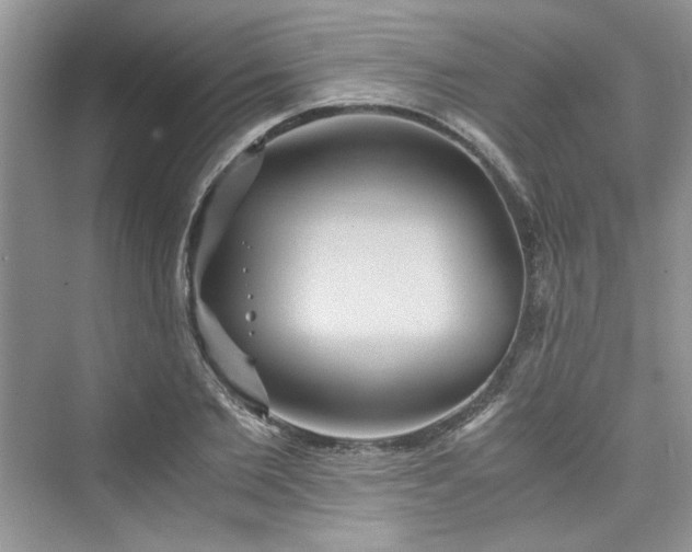 X0000075810885200609291342