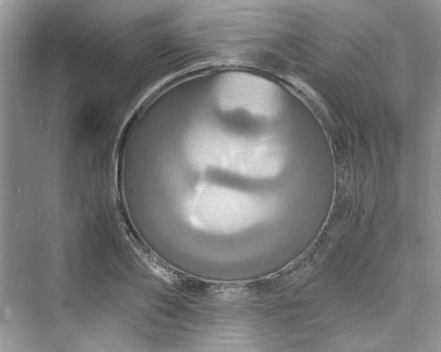 X0000075810886200609291342