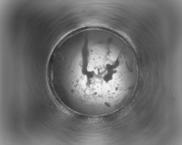 X0000075810887200609291342