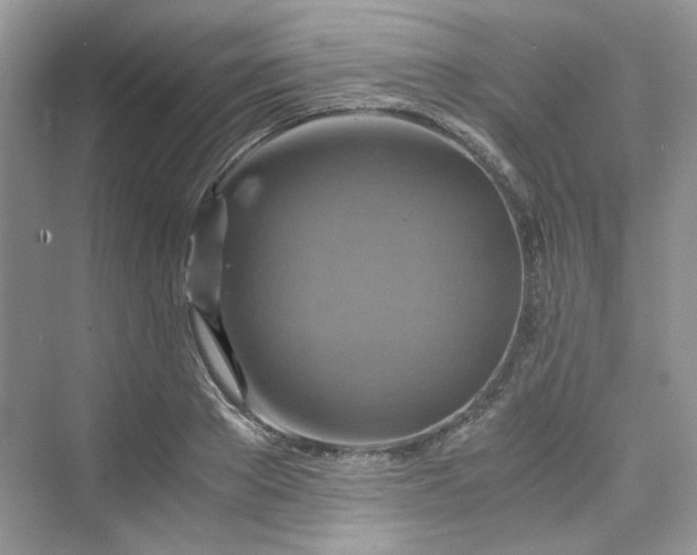 X0000075810889200609291342