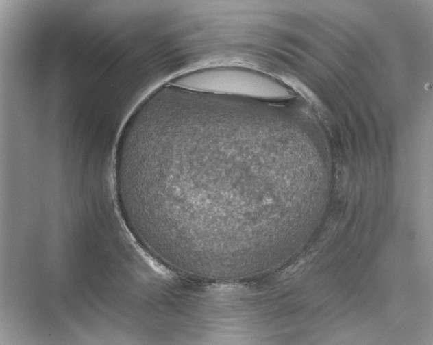 X0000075810894200609291342