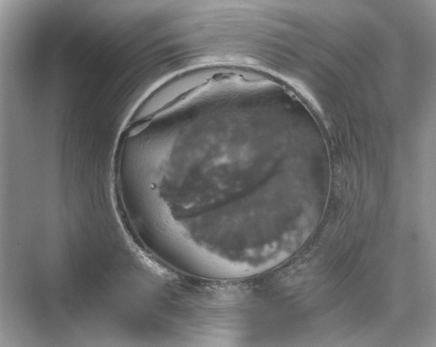 X0000075810895200609291342