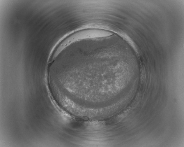 X0000075810896200609291342