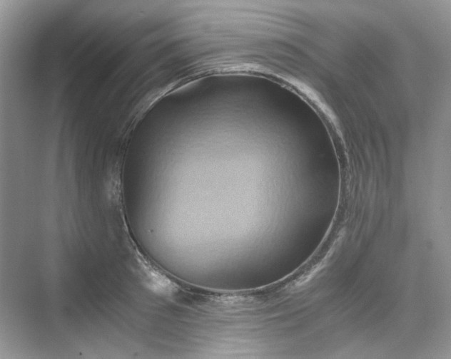 X0000075810897200609291342