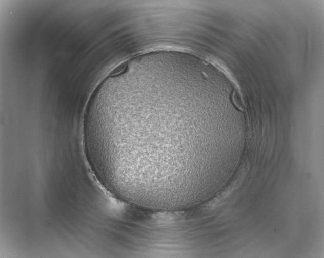 X0000075810898200609291342