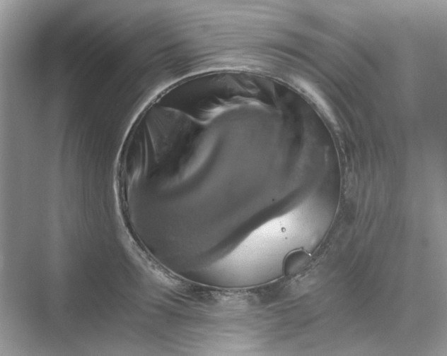 X0000075810899200609291342