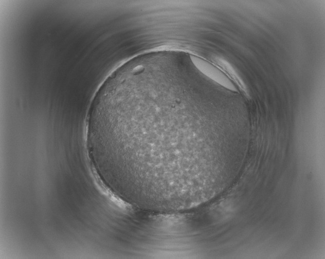 X0000075810900200609291342