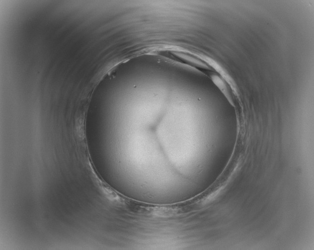 X0000075810905200609291342