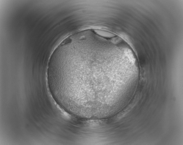 X0000075810906200609291342