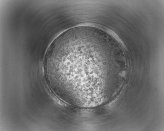 X0000075810908200609291342