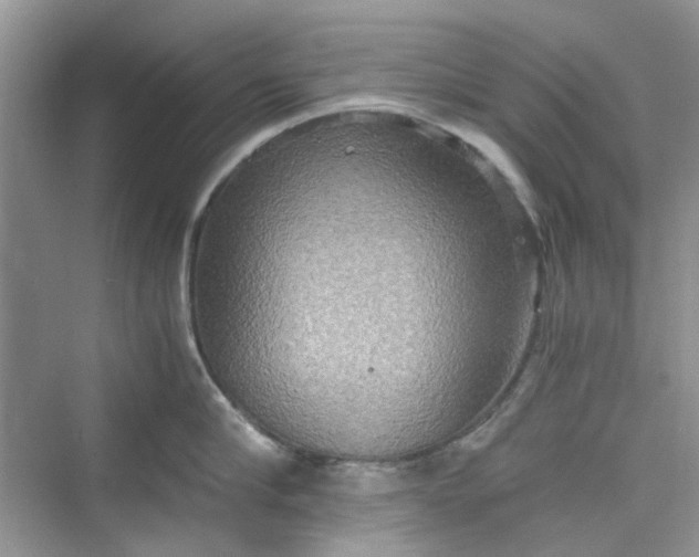 X0000075810910200609291342