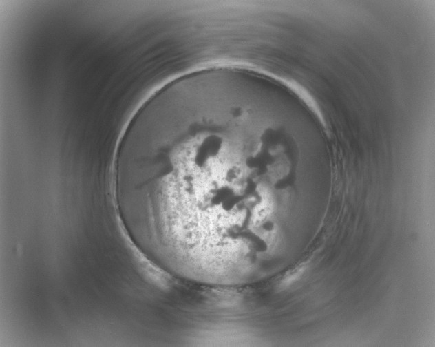 X0000075810911200609291342