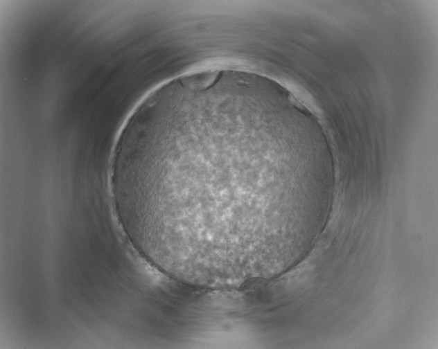 X0000075810912200609291342