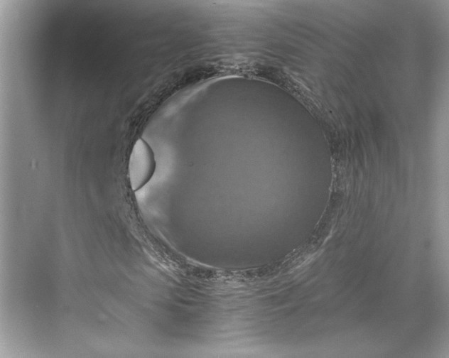 X0000075810913200609291341