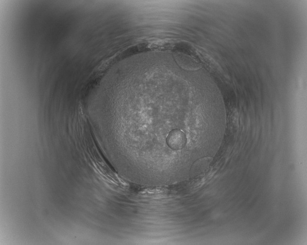 X0000075810914200609291341