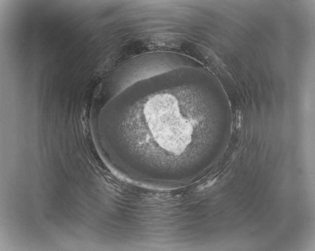 X0000075810915200609291341