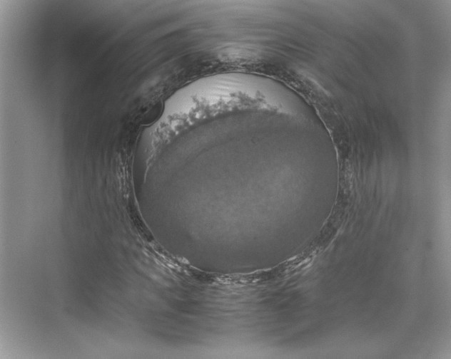 X0000075810917200609291341