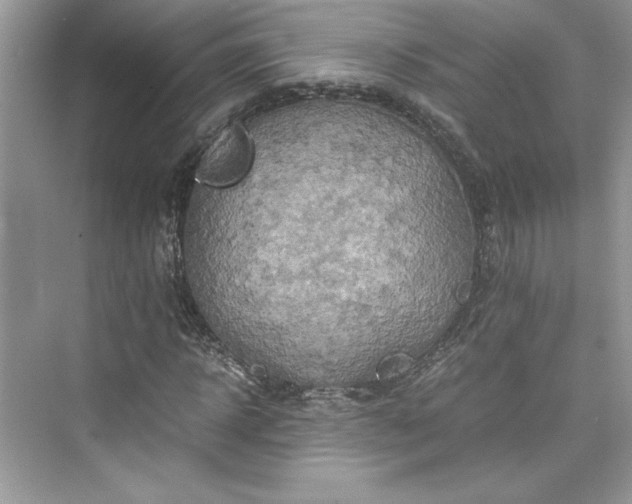 X0000075810918200609291341