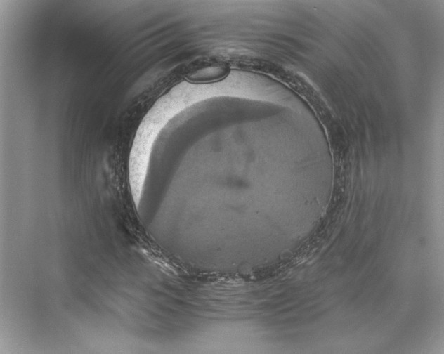 X0000075810919200609291341