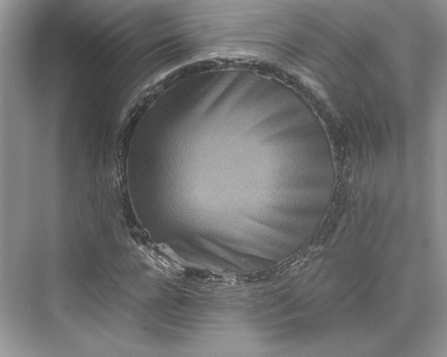 X0000075810920200609291341