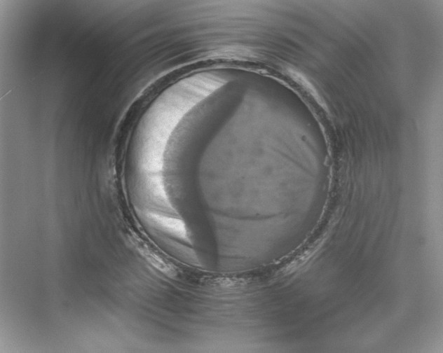 X0000075810923200609291341