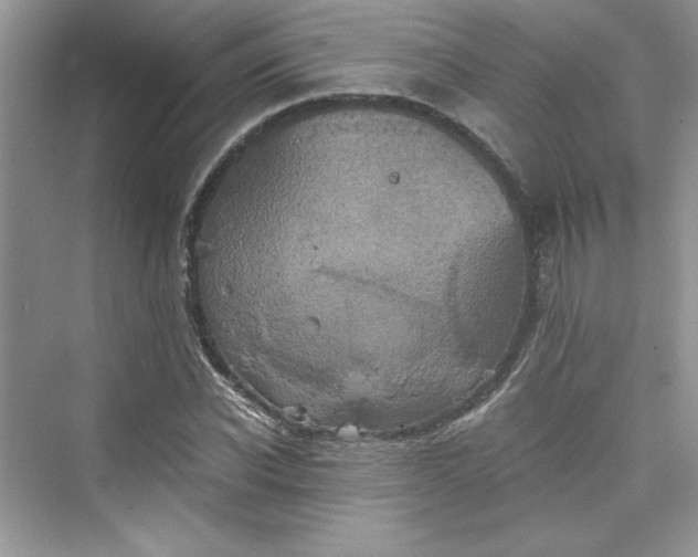 X0000075810926200609291341