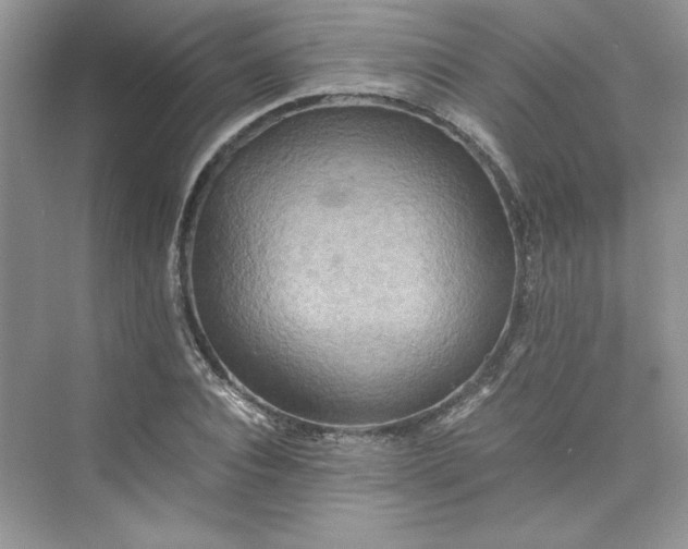 X0000075810928200609291341