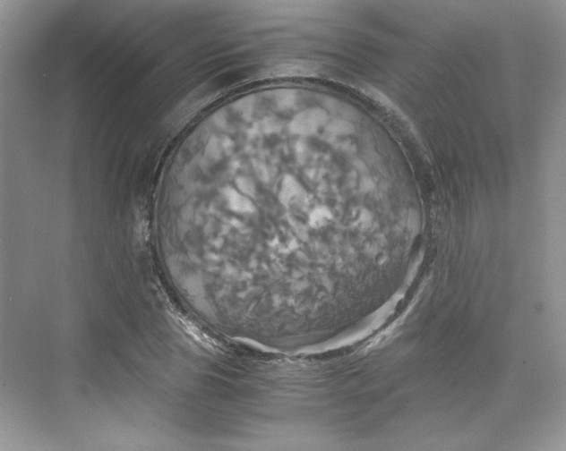 X0000075810929200609291341