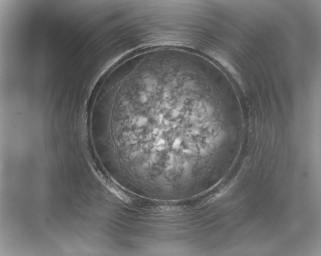 X0000075810933200609291341