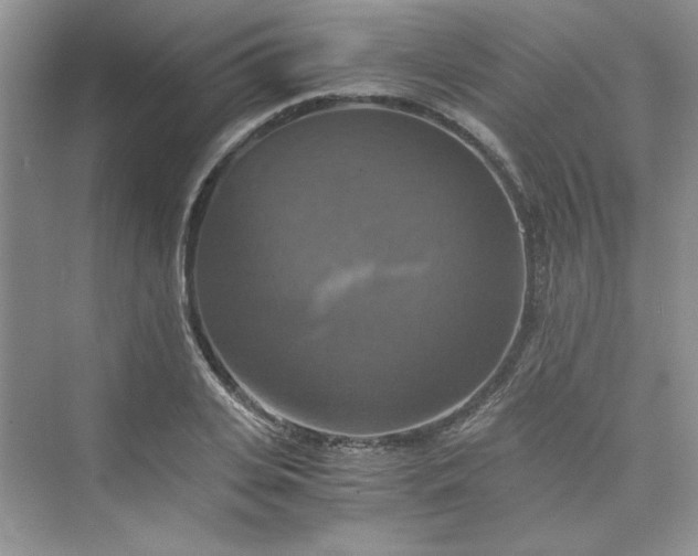 X0000075810935200609291341