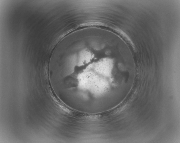 X0000075810937200609291341