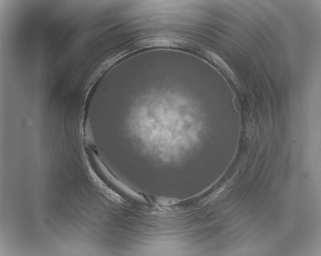 X0000075810938200609291341