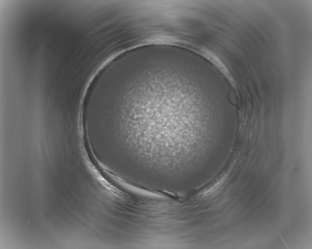 X0000075810939200609291341