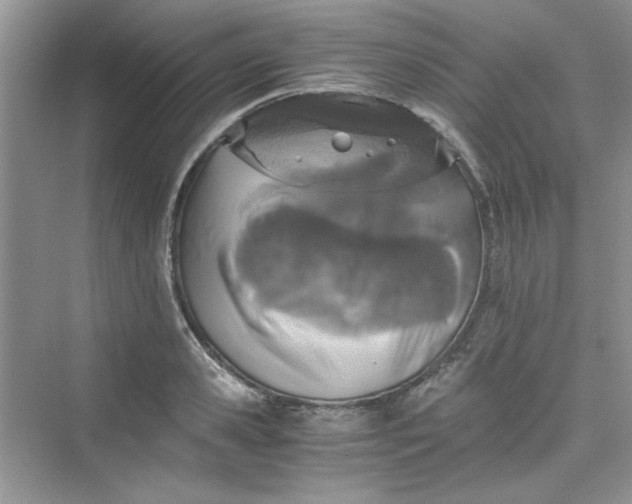 X0000075810941200609291341