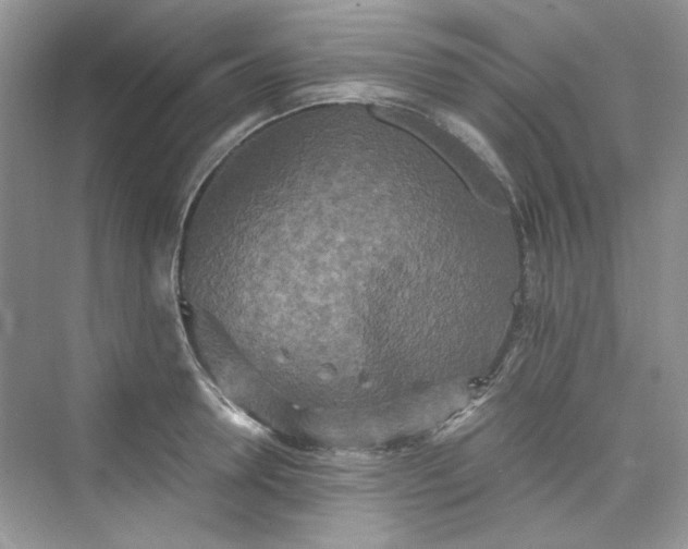 X0000075810946200609291341