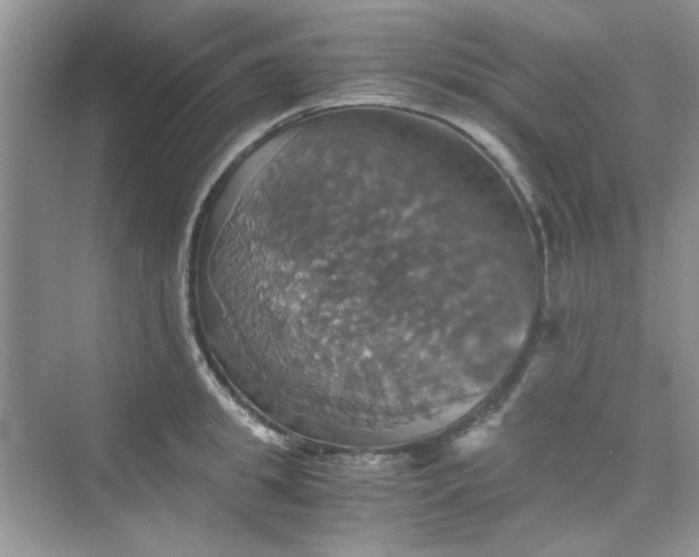 X0000075810949200609291341