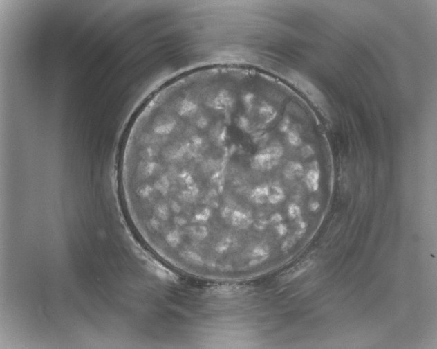 X0000075810950200609291341