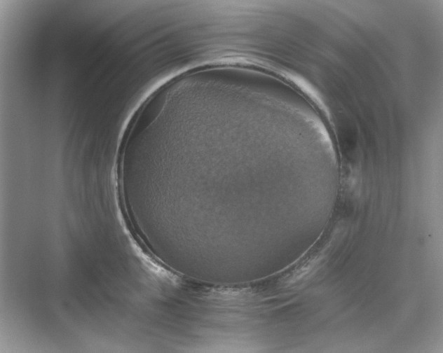 X0000075810951200609291341