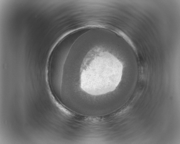 X0000075810955200609291342