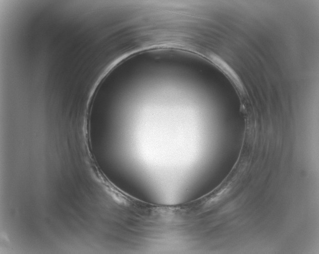 X0000075810956200609291342