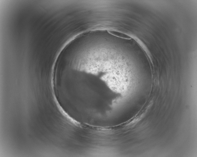 X0000075810957200609291342