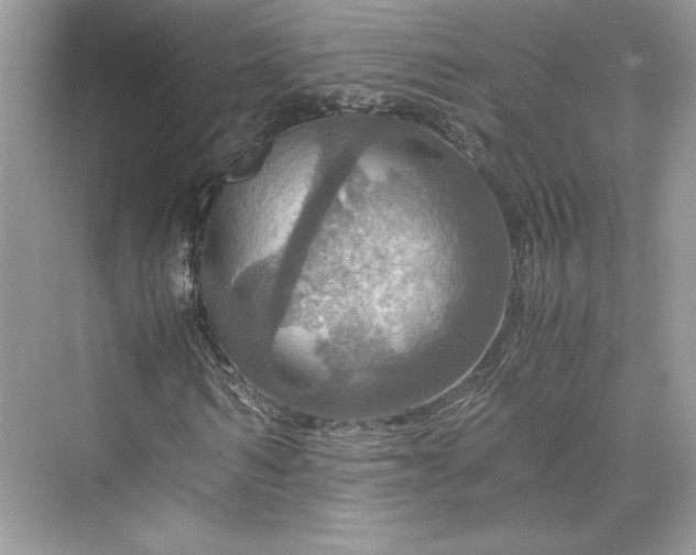 X0000075810962200609291341