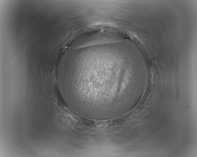 X0000075810965200609291341