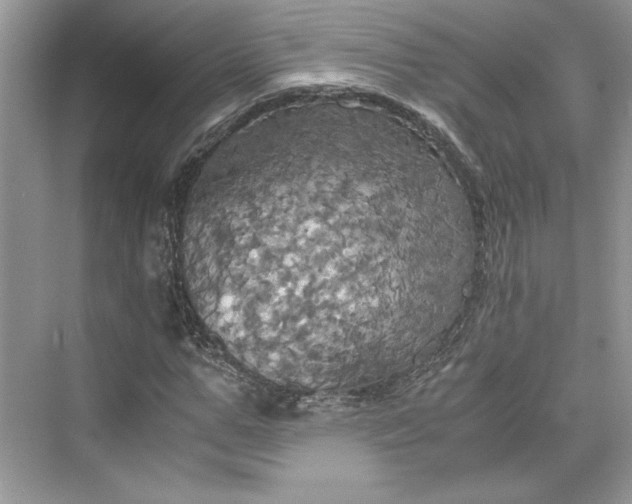 X0000075810967200609291341