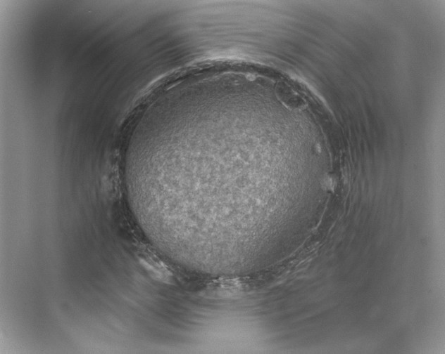 X0000075810968200609291341