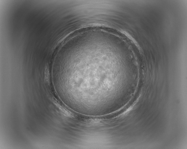 X0000075810969200609291341