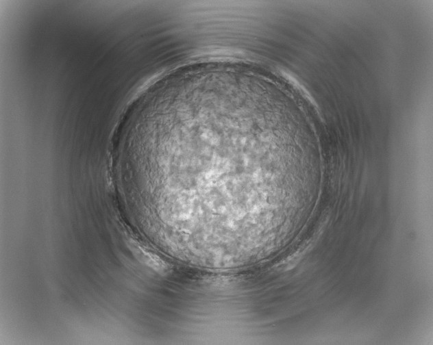 X0000075810970200609291341